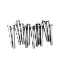 Flange screw 20405723